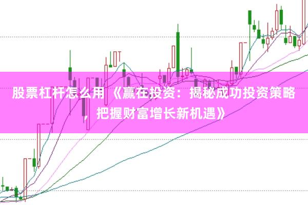 股票杠杆怎么用 《赢在投资：揭秘成功投资策略，把握财富增长新机遇》