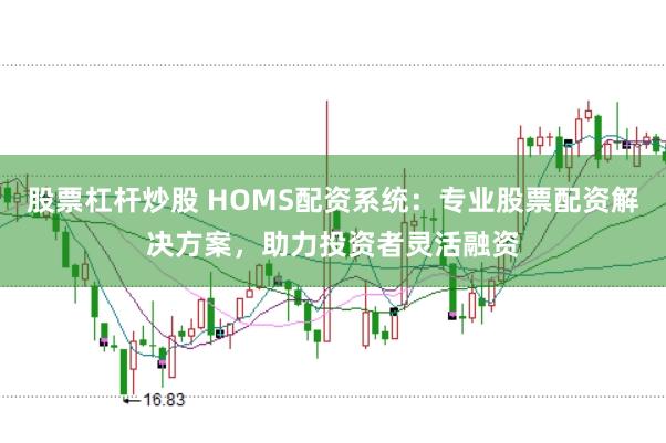 股票杠杆炒股 HOMS配资系统：专业股票配资解决方案，助力投资者灵活融资
