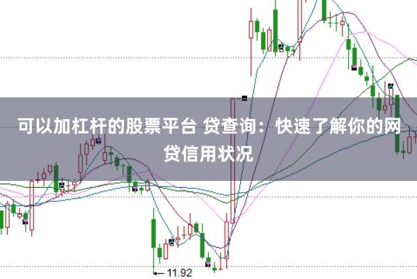 可以加杠杆的股票平台 贷查询：快速了解你的网贷信用状况