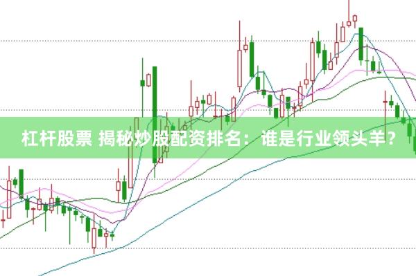 杠杆股票 揭秘炒股配资排名：谁是行业领头羊？