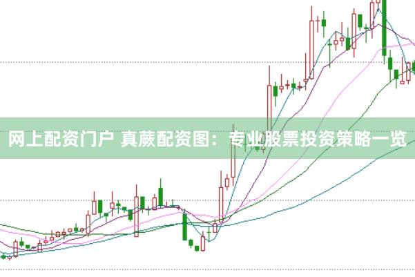 网上配资门户 真蕨配资图：专业股票投资策略一览