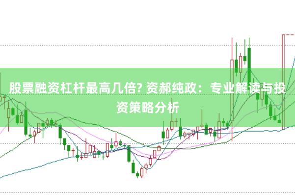 股票融资杠杆最高几倍? 资郝纯政：专业解读与投资策略分析