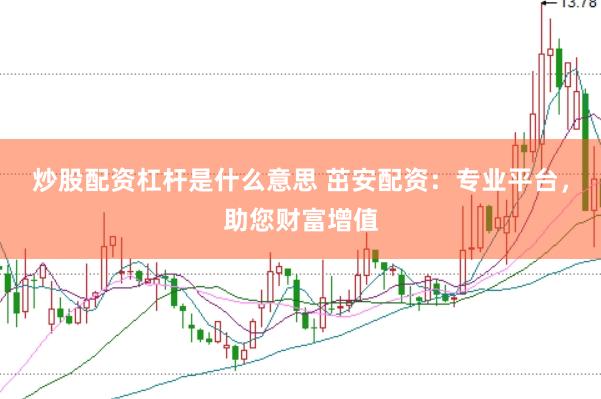 炒股配资杠杆是什么意思 茁安配资：专业平台，助您财富增值
