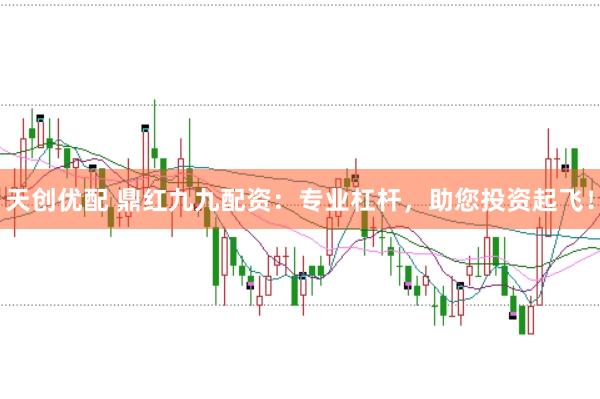 天创优配 鼎红九九配资：专业杠杆，助您投资起飞！