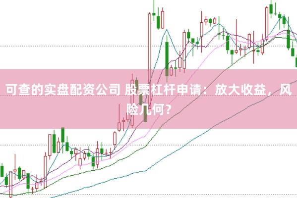 可查的实盘配资公司 股票杠杆申请：放大收益，风险几何？