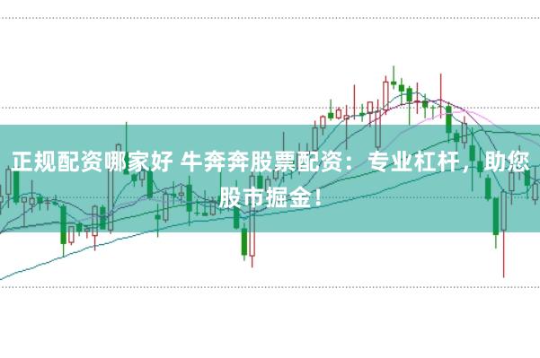 正规配资哪家好 牛奔奔股票配资：专业杠杆，助您股市掘金！