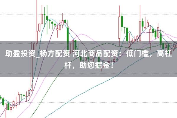 助盈投资_杨方配资 河北商品配资：低门槛，高杠杆，助您掘金！