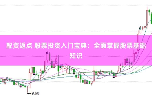 配资返点 股票投资入门宝典：全面掌握股票基础知识