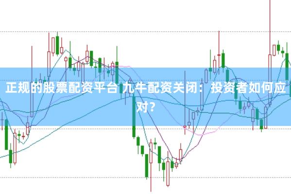正规的股票配资平台 九牛配资关闭：投资者如何应对？