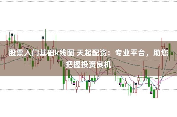 股票入门基础k线图 天起配资：专业平台，助您把握投资良机