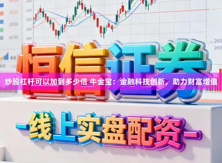 炒股杠杆可以加到多少倍 牛金宝：金融科技创新，助力财富增值
