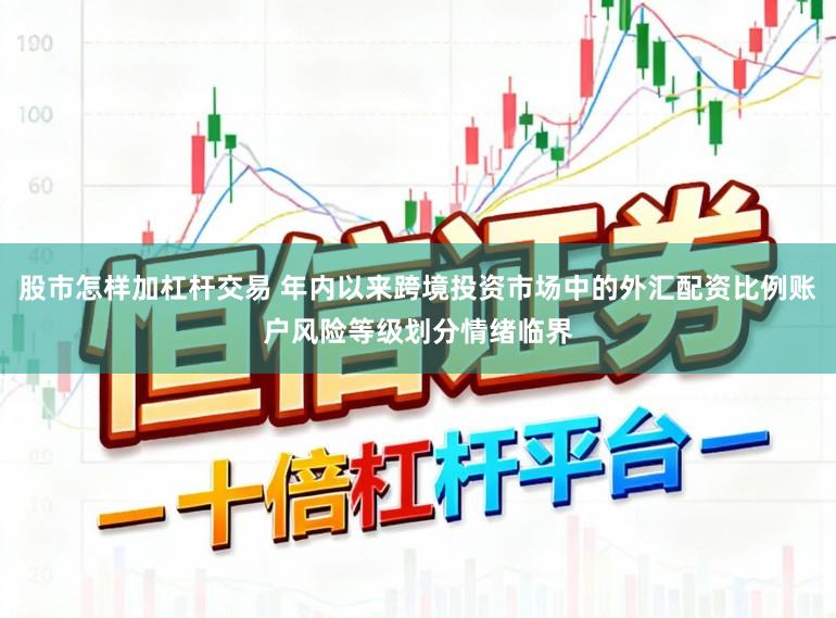 股市怎样加杠杆交易 年内以来跨境投资市场中的外汇配资比例账户风险等级划分情绪临界