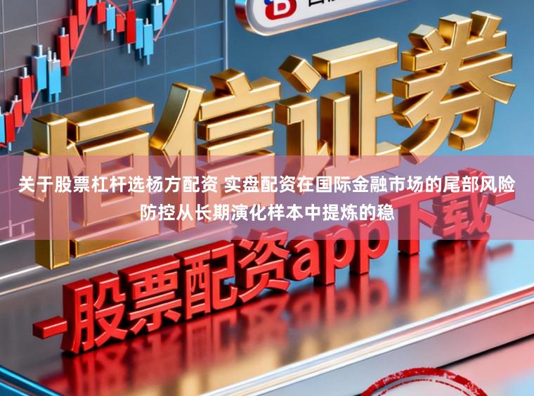 关于股票杠杆选杨方配资 实盘配资在国际金融市场的尾部风险防控从长期演化样本中提炼的稳