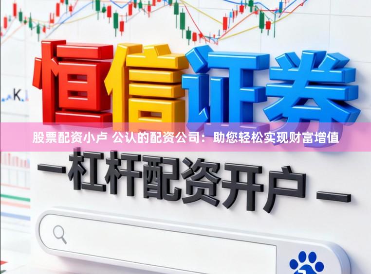 股票配资小卢 公认的配资公司：助您轻松实现财富增值