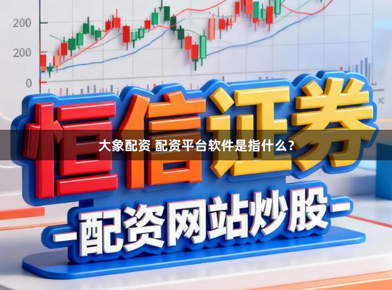 大象配资 配资平台软件是指什么？